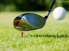 包含高尔夫附加赛上演强强对话，瓯越猎隼队淘汰对手祁连银狐队，战术调整见效；黑马成最大惊喜的词条