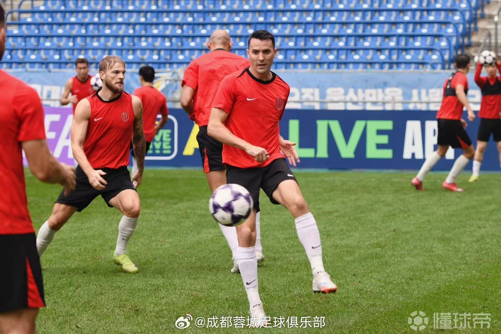  亚冠赛后走向成谜，成都蓉城扳平良机，媒体盛赞，数据趋势出现新变化